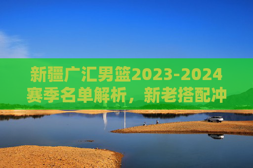 新疆广汇男篮2023-2024赛季名单解析，新老搭配冲击冠军