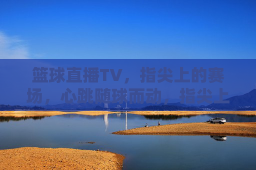 篮球直播TV，指尖上的赛场，心跳随球而动，指尖上的赛场