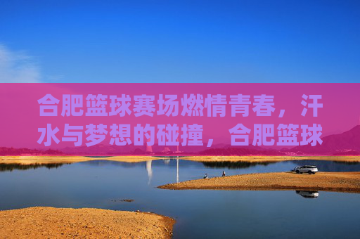 合肥篮球赛场燃情青春,汗水与梦想的碰撞,合肥篮球赛场,燃情青春,汗水筑梦