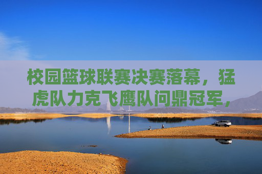 校园篮球联赛决赛落幕，猛虎队力克飞鹰队问鼎冠军，校园篮球联赛决赛落幕 猛虎队力克飞鹰队问鼎冠军