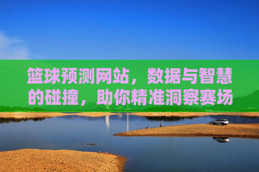 篮球预测网站，数据与智慧的碰撞，助你精准洞察赛场风云，篮球预测，数据智慧碰撞，精准洞察赛场