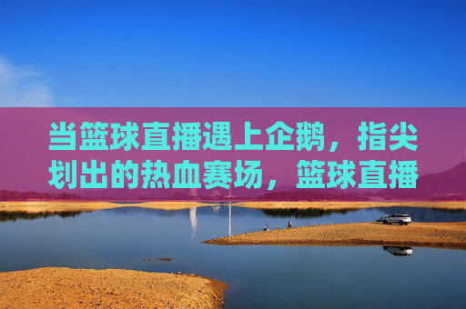当篮球直播遇上企鹅，指尖划出的热血赛场，篮球直播遇上企鹅，指尖划出的热血赛场