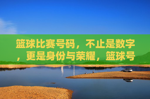 篮球比赛号码，不止是数字，更是身份与荣耀，篮球号码，数字背后的身份与荣光