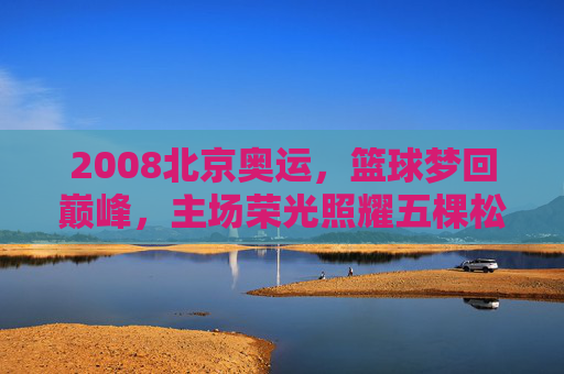2008北京奥运，篮球梦回巅峰，主场荣光照耀五棵松，2008北京奥运，篮球巅峰荣光照耀五棵松
