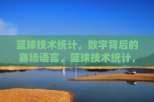 篮球技术统计,数字背后的赛场语言,篮球技术统计,数字背后的赛场语言