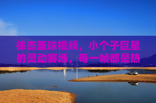 徐杰篮球视频，小个子巨星的灵动赛场，每一帧都是热血与技巧的交响，徐杰，小个子巨星的灵动赛场，热血与技巧的交响