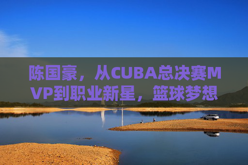 陈国豪，从CUBA总决赛MVP到职业新星，篮球梦想的破茧之路，陈国豪，从CUBA总决赛MVP到职业新星的破茧之路