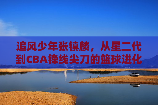 追风少年张镇麟，从星二代到CBA锋线尖刀的篮球进化论，追风少年张镇麟，星二代到CBA锋线尖刀的篮球进化论