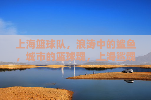 上海篮球队，浪涛中的鲨鱼，城市的篮球魂，上海鲨魂，浪涛中的城市篮球魂
