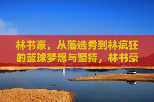 林书豪，从落选秀到林疯狂的篮球梦想与坚持，林书豪，从落选秀到林疯狂的篮球梦想与坚持