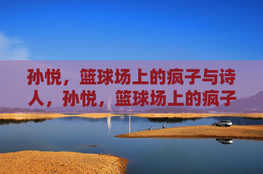 孙悦，篮球场上的疯子与诗人，孙悦，篮球场上的疯子与诗人