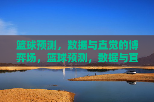 篮球预测，数据与直觉的博弈场，篮球预测，数据与直觉的博弈场