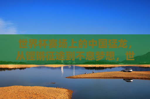 世界杯赛场上的中国猛龙，从铿锵征途到不息梦想，世界杯中国猛龙，铿锵征途不息梦