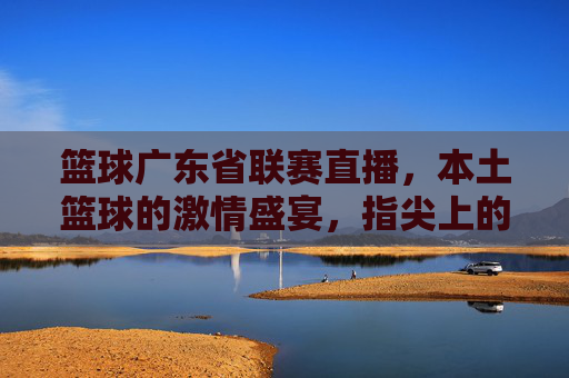 篮球广东省联赛直播，本土篮球的激情盛宴，指尖上的巅峰对决，本土篮球巅峰对决，广东省联赛直播