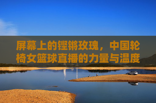 屏幕上的铿锵玫瑰,中国轮椅女篮球直播的力量与温度,中国轮椅女篮直播,铿锵玫瑰的力量与温度