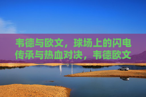 韦德与欧文，球场上的闪电传承与热血对决，韦德欧文，闪电传承下的热血对决