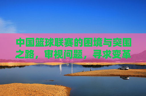 中国篮球联赛的困境与突围之路,审视问题,寻求变革,困境与突围,中国篮球联赛的审视与变革