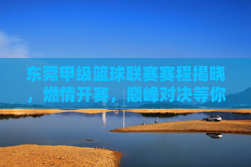 东莞甲级篮球联赛赛程揭晓，燃情开赛，巅峰对决等你来，东莞甲级篮球联赛赛程揭晓，燃情开赛巅峰对决等你来