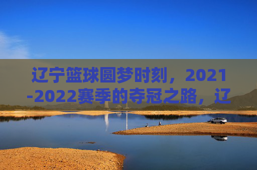 辽宁篮球圆梦时刻,2021-2022赛季的夺冠之路,辽宁篮球2021-2022,圆梦夺冠之路