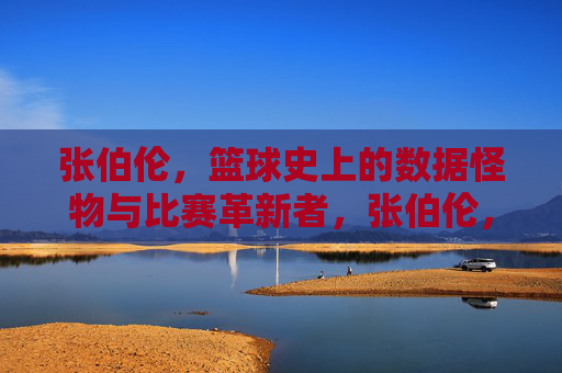 张伯伦,篮球史上的数据怪物与比赛革新者,张伯伦,篮球史上的数据怪物与革新者