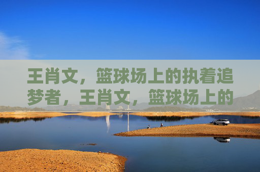 王肖文，篮球场上的执着追梦者，王肖文，篮球场上的执着追梦者