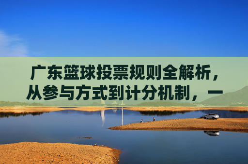 广东篮球投票规则全解析，从参与方式到计分机制，一文读懂，广东篮球投票规则全解析，一文读懂参与方式与计分机制