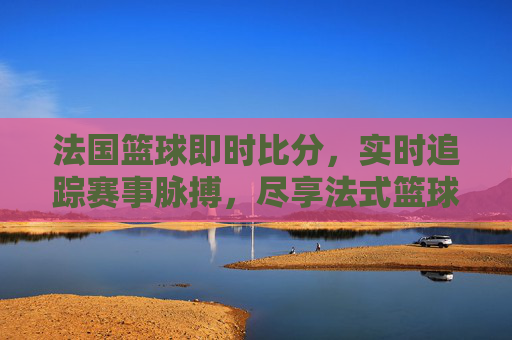 法国篮球即时比分，实时追踪赛事脉搏，尽享法式篮球激情，法国篮球即时比分，实时追踪赛事脉搏，尽享法式激情