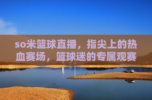 so米篮球直播，指尖上的热血赛场，篮球迷的专属观赛盛宴，so米篮球直播，指尖上的篮球迷专属热血赛场