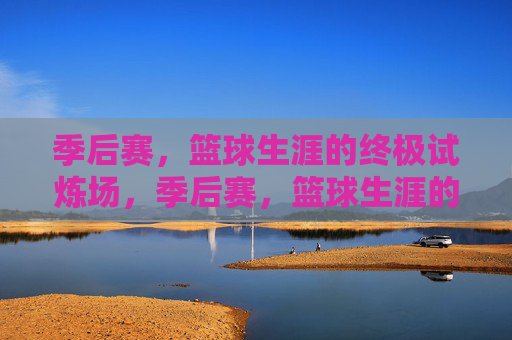 季后赛,篮球生涯的终极试炼场,季后赛,篮球生涯的终极试炼场