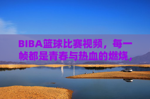 BIBA篮球比赛视频，每一帧都是青春与热血的燃烧，BIBA篮球，帧帧青春，热血燃烧