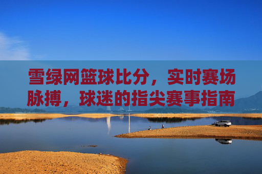 雪绿网篮球比分,实时赛场脉搏,球迷的指尖赛事指南,雪绿网实时篮球比分,球迷指尖赛事指南