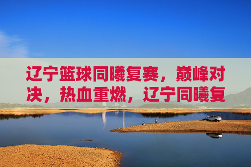 辽宁篮球同曦复赛，巅峰对决，热血重燃，辽宁同曦复赛巅峰对决，热血重燃