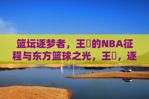 篮坛逐梦者,王豰的NBA征程与东方篮球之光,王豰,逐梦NBA的东方篮球之光