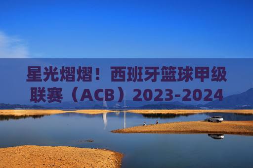 星光熠熠！西班牙篮球甲级联赛（ACB）2023-2024赛季球员名单巡礼，星光熠熠！西班牙ACB联赛2023-2024赛季球员巡礼