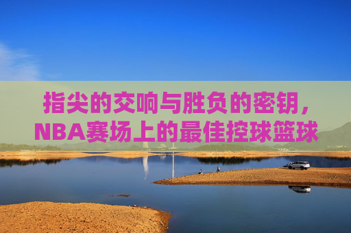 指尖的交响与胜负的密钥,NBA赛场上的最佳控球篮球解析,NBA控球,指尖交响中的胜负密钥