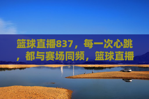 篮球直播837,每一次心跳,都与赛场同频,篮球直播837,心跳与赛场同频