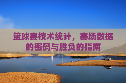 篮球赛技术统计,赛场数据的密码与胜负的指南