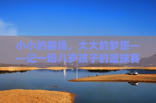 小小的赛场,大大的梦想——记一场八岁孩子的篮球赛,小小的赛场,大大的梦想——八岁孩子篮球赛