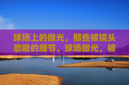 球场上的微光,那些被镜头忽略的细节,球场微光,被镜头忽略的细节