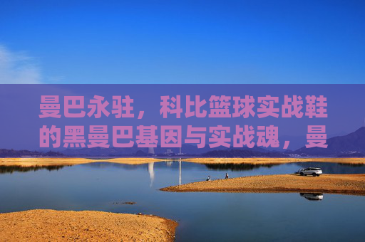 曼巴永驻，科比篮球实战鞋的黑曼巴基因与实战魂，曼巴永驻，科比实战鞋的黑曼巴基因与实战魂