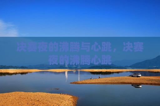 决赛夜的沸腾与心跳，决赛夜的沸腾心跳