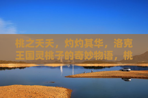 桃之夭夭,灼灼其华,洛克王国灵桃子的奇妙物语,桃夭灼灼,洛克王国灵桃子的奇妙物语