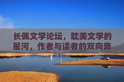 长佩文学论坛，耽美文学的星河，作者与读者的双向奔赴，长佩，耽美星河的双向奔赴