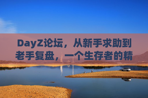 DayZ论坛，从新手求助到老手复盘，一个生存者的精神家园，DayZ生存者的精神家园，从新手求助到老手复盘