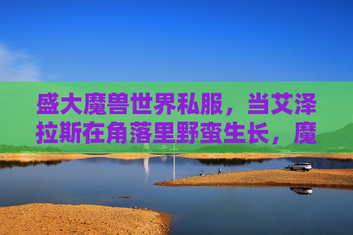 盛大魔兽世界私服，当艾泽拉斯在角落里野蛮生长，魔兽私服，角落野蛮生长的艾泽拉斯