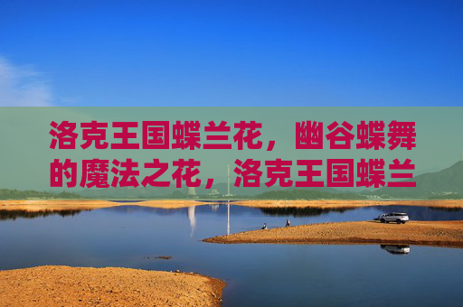 洛克王国蝶兰花,幽谷蝶舞的魔法之花,洛克王国蝶兰花,幽谷蝶舞的魔法之花