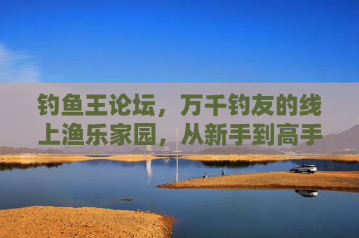 钓鱼王论坛，万千钓友的线上渔乐家园，从新手到高手的进阶指南，钓鱼王论坛，万千钓友的渔乐进阶家园