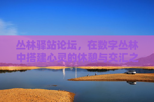 丛林驿站论坛,在数字丛林中搭建心灵的休憩与交汇之地,数字丛林的心灵交汇驿站