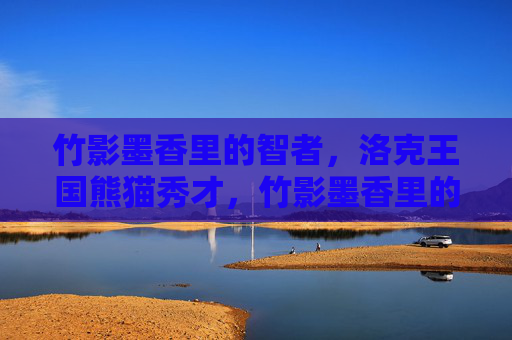竹影墨香里的智者,洛克王国熊猫秀才,竹影墨香里的洛克智者,熊猫秀才