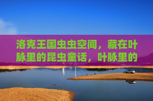 洛克王国虫虫空间，藏在叶脉里的昆虫童话，叶脉里的洛克王国虫虫童话